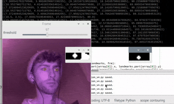 Iris detection